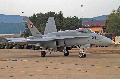 F/A-18C Hornet, Suisse AF