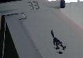 AMX Tail, wing patch