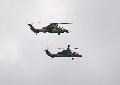 Tigra and Tiger Eurocopter