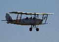 Tiger Moth