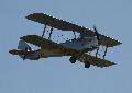 Tiger Moth