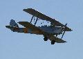 Tiger Moth