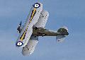 Gloster Gladiator