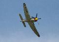 Sea Fury