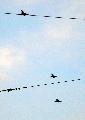 JAS-39 Gripen HuNAF