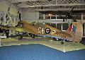 P-40 KittyHawk