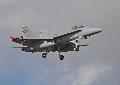 F/A-18C Hornet, Finnish Air Force