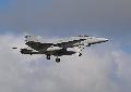 F/A-18C Hornet, Finnish Air Force