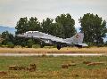 MiG-29UB BulAF