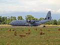 C-130 Super Hercules USAFE