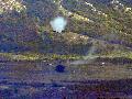 A10C Warthog USAF shooting