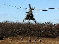 Mi-8T HunAF and 2thSOR Hun Army