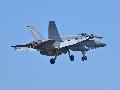 F/A-18C Hornet, Finnish AF