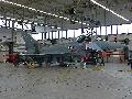 Eurofighter, TakLwG 31,Luftwaffe
