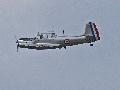 MS.733 Alcyon