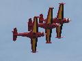 Red Devils SF-260, Belgian Def. Force