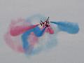 Red Arrows, Royal Air Force