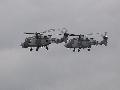 Black Cats, AW-149 Royal Navy (Air Arms)
