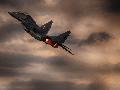 MiG-29UB, Polish AF - HDR Pictures