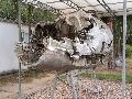 IL-28 wrecks