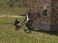 Hungarian Special Forces