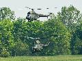 Mi-2, Polish AF