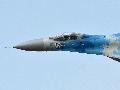 Su-27PM1, Ukrain AF