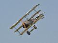 Fokker Dr1 Replica