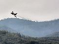 JAS-39C Gripen Czeh AF