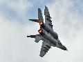 MiG-29 Slovakian AF