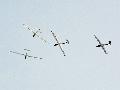 Ocovia Bacovia Blanik gliders team, Slovakia