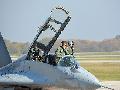 MiG-29 Serbian AF
