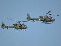 SOKO Gama, Serbian AF