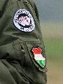 Hungarian Insignia (JTAC)