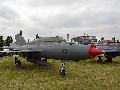 MiG21UM - Special Painted