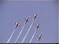 L-39 Biele Albatrosy Slovak AF