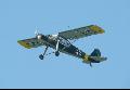 Friesler Storch Replica